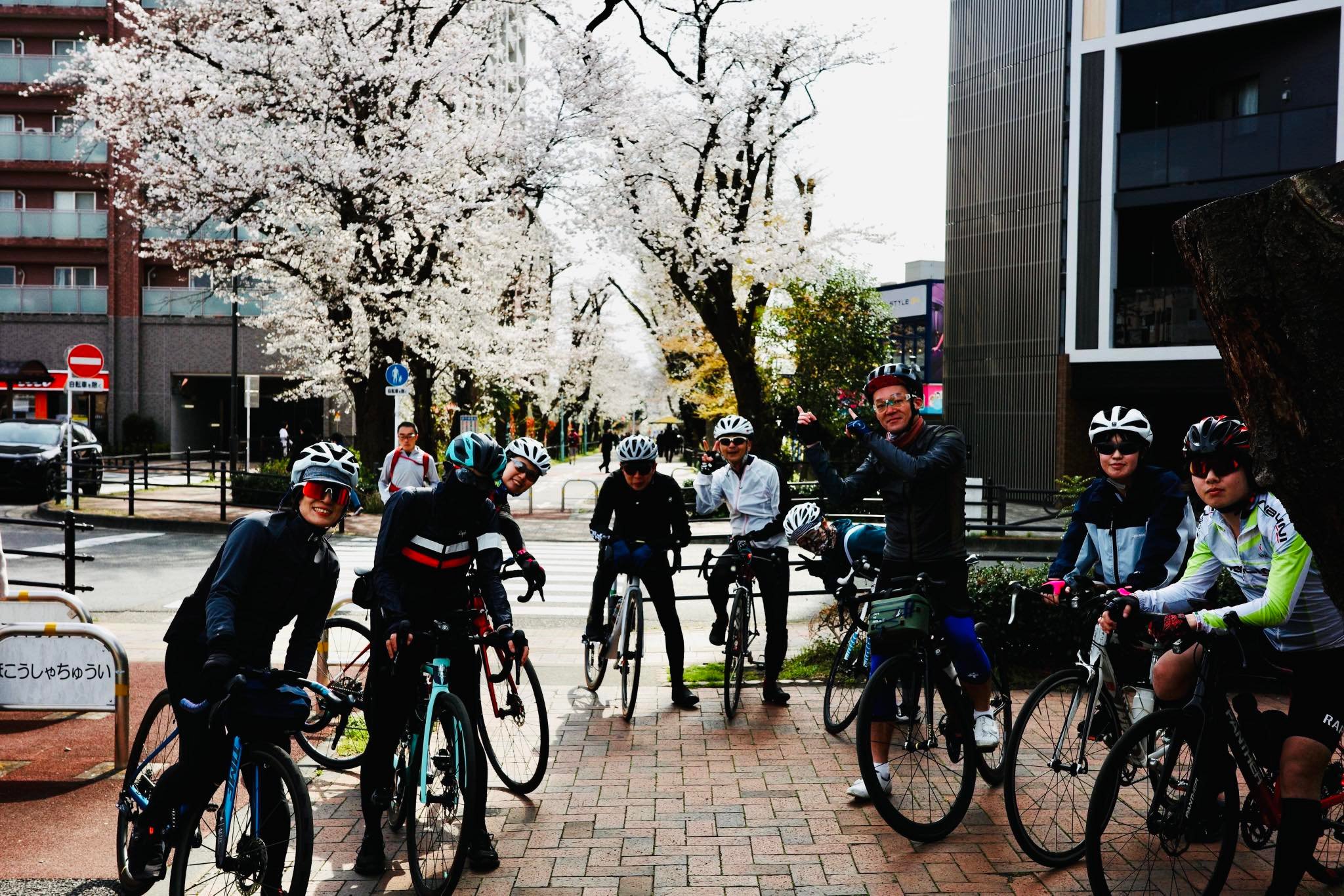 2025 spring ride — city sakura