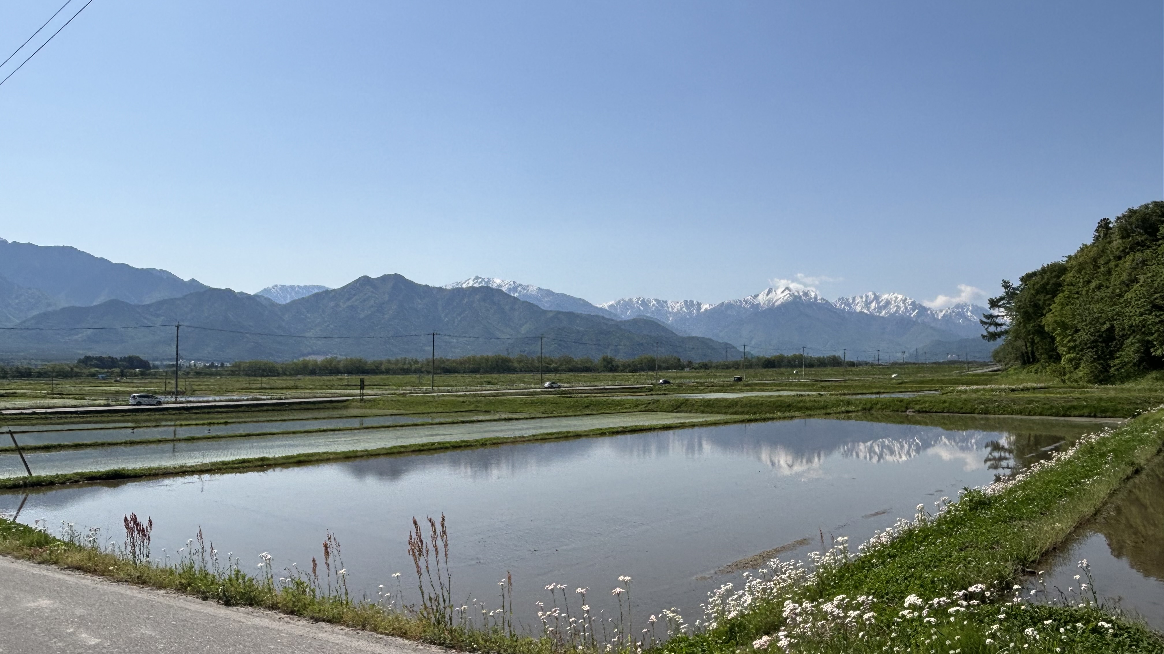 2026 North Alps — Alps reflected in rice paddy