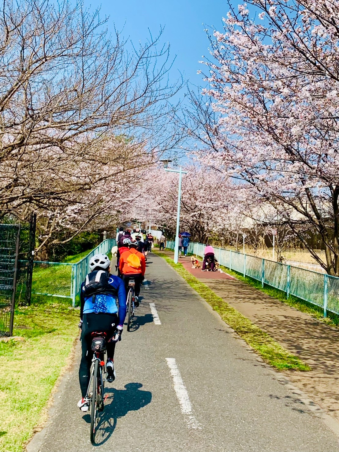 Tama Lake Lunch Ride
